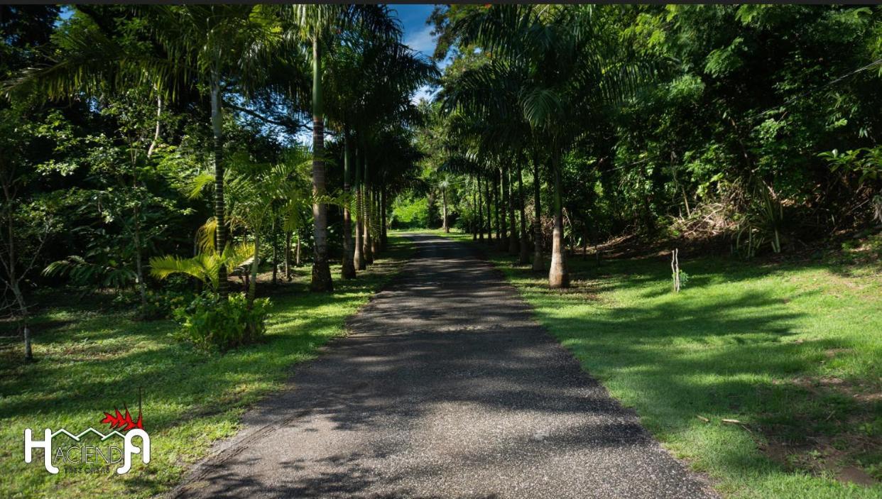Hacienda Tres Casitas Konuk evi Cabo Rojo Dış mekan fotoğraf