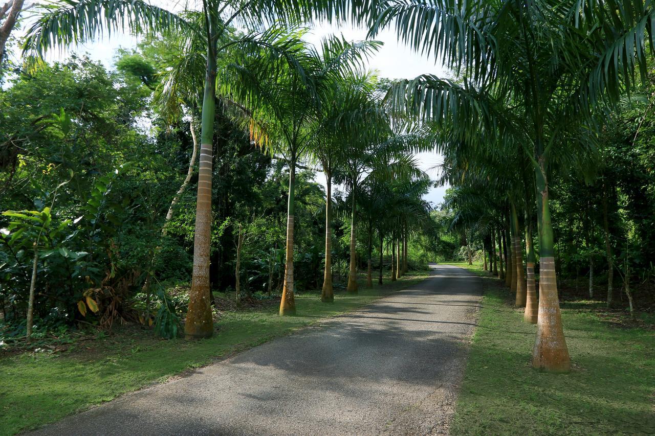 Hacienda Tres Casitas Konuk evi Cabo Rojo Dış mekan fotoğraf